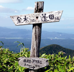 大倉岳～赤倉岳 登山道