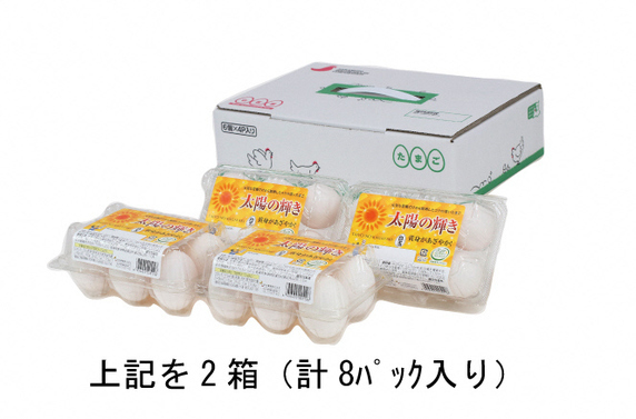 蓬田村産のたまごセット